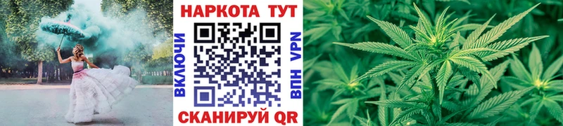 Где купить наркоту Ершов Канабис  Меф  Псилоцибиновые грибы  Вейп ТГК  ГАШИШ 