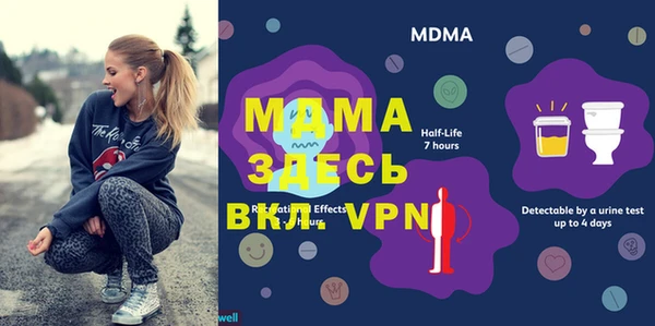 хмурый Вяземский