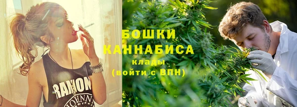 хмурый Вяземский