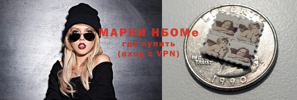хмурый Вяземский