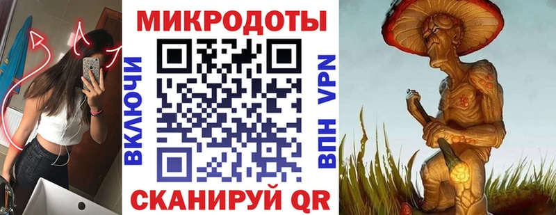 где купить   Ершов  Галлюциногенные грибы Psilocybe 